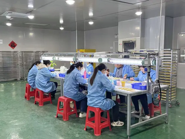 Handcraft Workshop